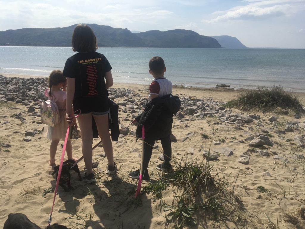 Read more about the article Self Regulation